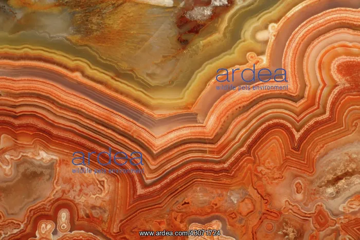  : Agate. A close-up view of agate. Agate is a form of the mineral quartz (silicon oxide)