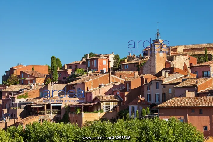 : Close-up view of Roussillon in the Luberon : Close-up view of Roussillon in the Luberon
