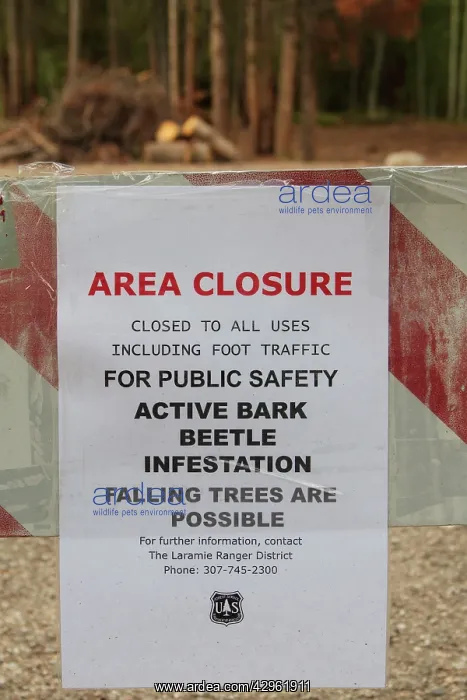 : Closure signs because of dying trees from Pine Bark Beetle : Closure signs because of dying trees from Pine Bark Beetle