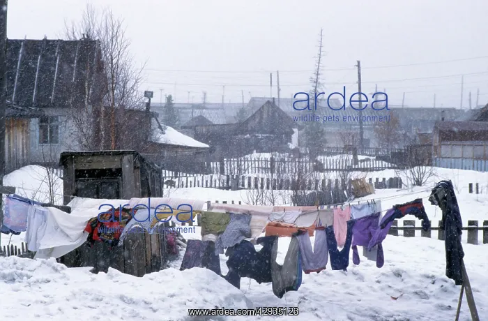 : Clothes drying in snowfall, Siberia : Clothes drying in snowfall, Siberia