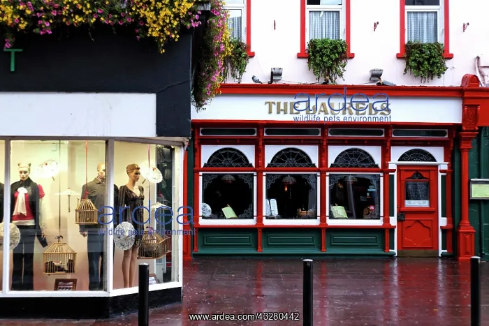 : Clothing shop and The Laurels restaurant, Killarney : Clothing shop and The Laurels restaurant, Killarney