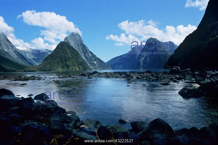 : Cloud-capped Mitre Peak rises out of Milford : Cloud-capped Mitre Peak rises out of Milford