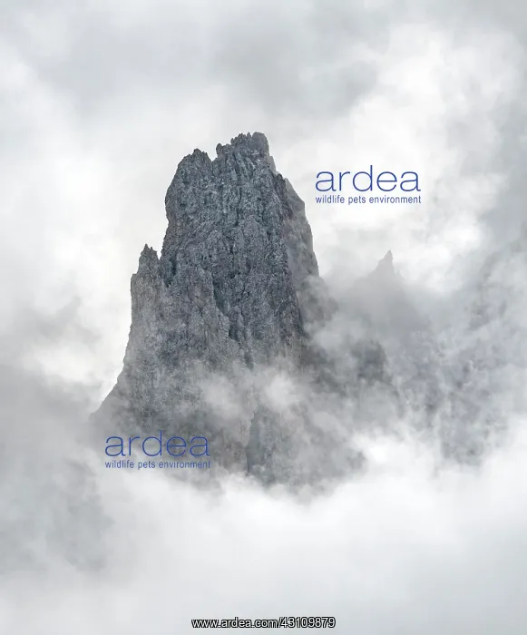: Cloud-covered rocky peaks, mountain peaks of the : Cloud-covered rocky peaks, mountain peaks of the