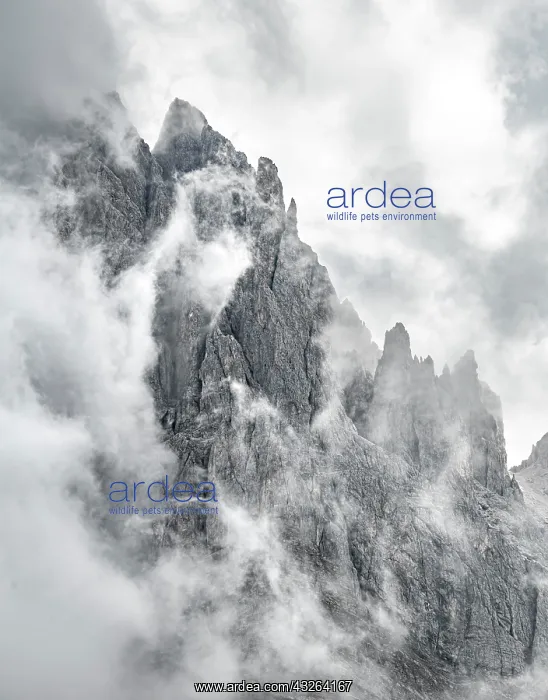 : Cloud-covered rocky peaks, mountain peaks of the : Cloud-covered rocky peaks, mountain peaks of the