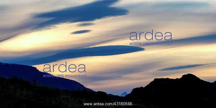: Cloud formation over the mountains, Patagonia National : Cloud formation over the mountains, Patagonia National