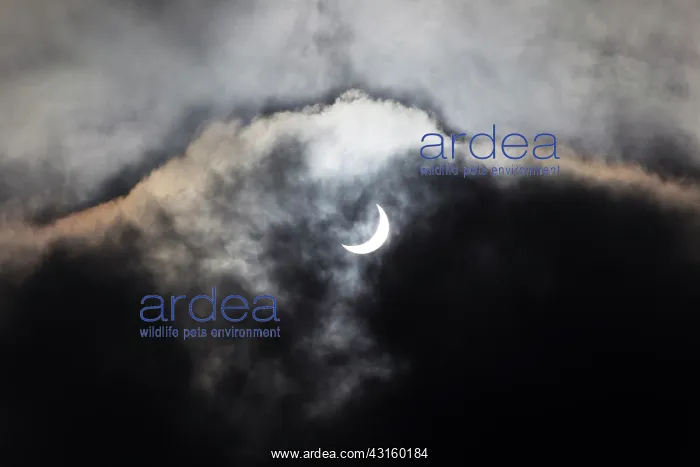: A cloud of sail reduces sunlight and transforms : A cloud of sail reduces sunlight and transforms