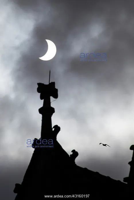 : A cloud of sail reduces sunlight and transforms : A cloud of sail reduces sunlight and transforms
