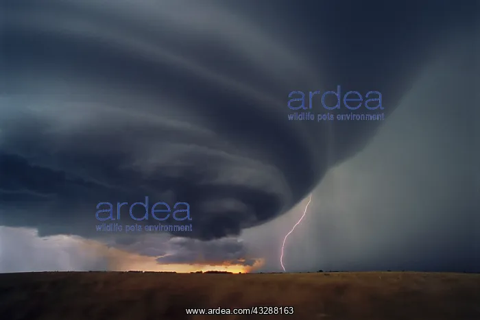 : A cloud-to-cloud lightning bolt ejects from an isolated : A cloud-to-cloud lightning bolt ejects from an isolated