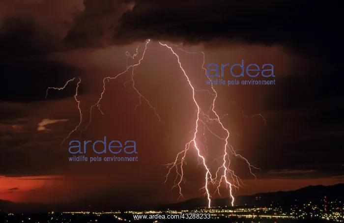 : Cloud-to-Ground lightning during a summer storm in Tucson, A : Cloud-to-Ground lightning during a summer storm in Tucson, A
