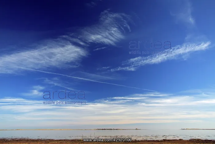 : Clouds - and aircraft vapour trails : Clouds - and aircraft vapour trails
