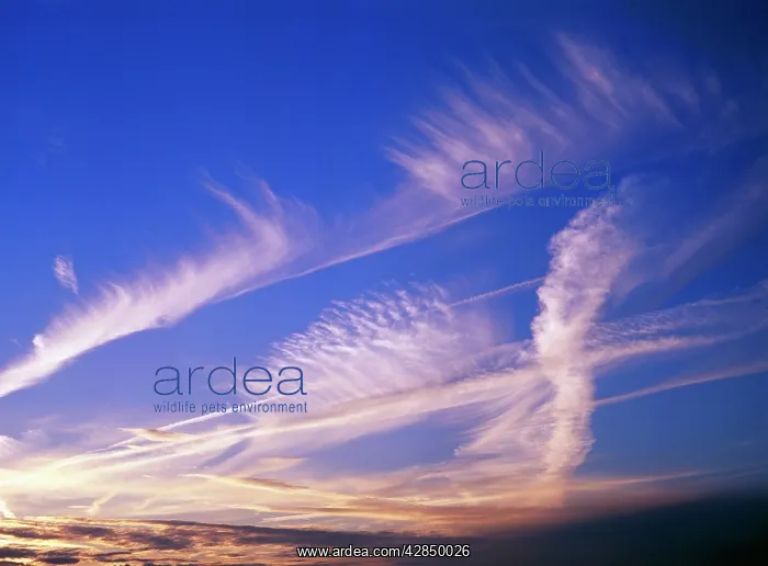  : Clouds - aircraft vapour trails at sunset