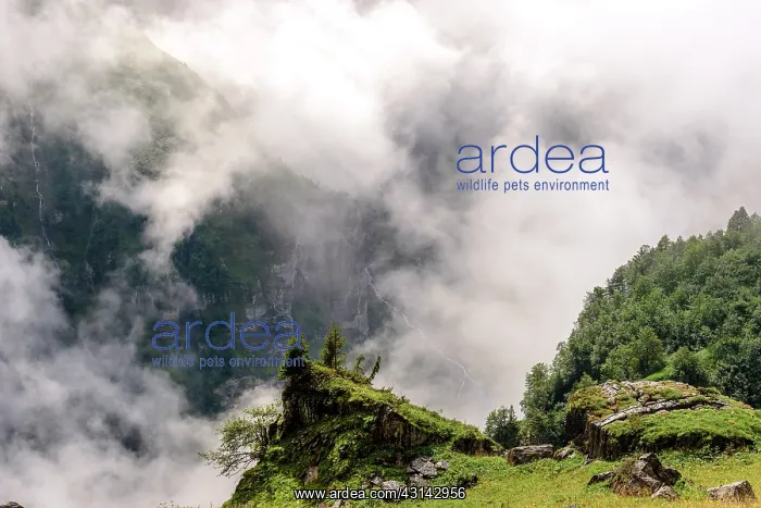 : Clouds above the Cirque du Fer a Cheval, Haute : Clouds above the Cirque du Fer a Cheval, Haute