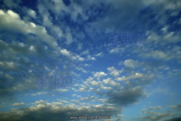  : Clouds - cirrocumulus