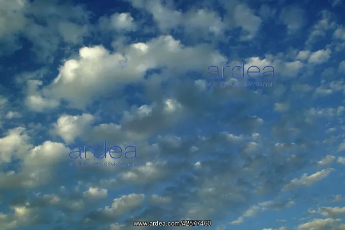  : Clouds - cirrocumulus
