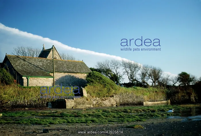  : CLOUDS - FRONT OVER COTTAGE
