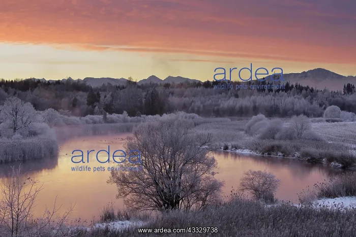: The clouds illuminated red by the sunrise are re : The clouds illuminated red by the sunrise are re