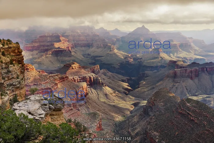 : Clouds and mist, Grand Canyon National Park, Arizona : Clouds and mist, Grand Canyon National Park, Arizona
