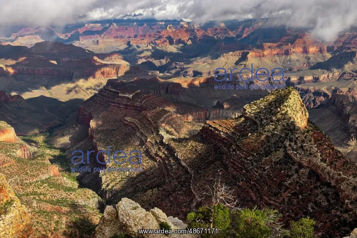 : Clouds and mist, Grand Canyon National Park, Arizona : Clouds and mist, Grand Canyon National Park, Arizona