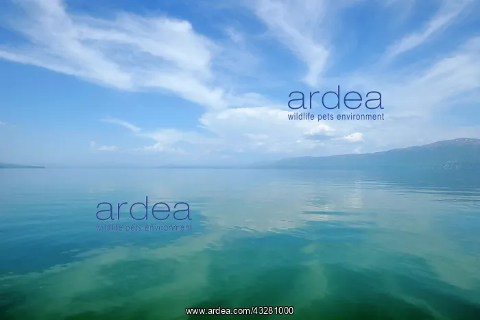 : Clouds reflected in water surface, Lake Ohrid, Pogradec : Clouds reflected in water surface, Lake Ohrid, Pogradec