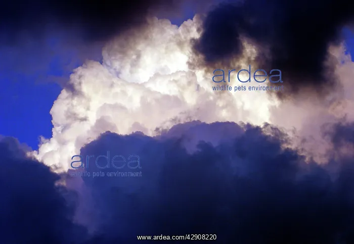  : Clouds & Sky