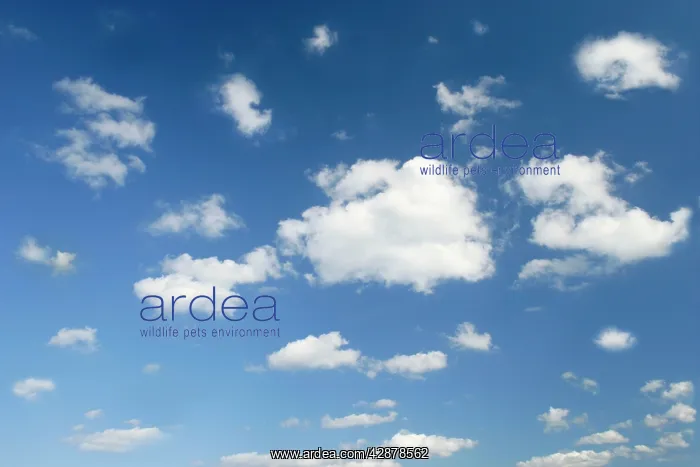 : clouds and sky - blue sky dotted with tiny white : clouds and sky - blue sky dotted with tiny white
