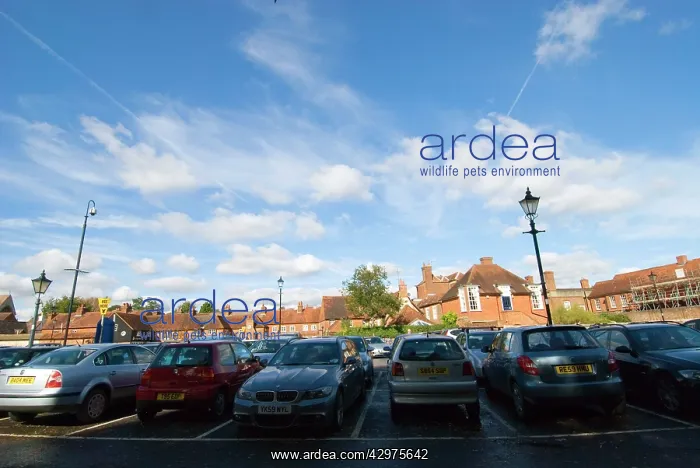 : Clouds & Sky - above Surrey car park : Clouds & Sky - above Surrey car park