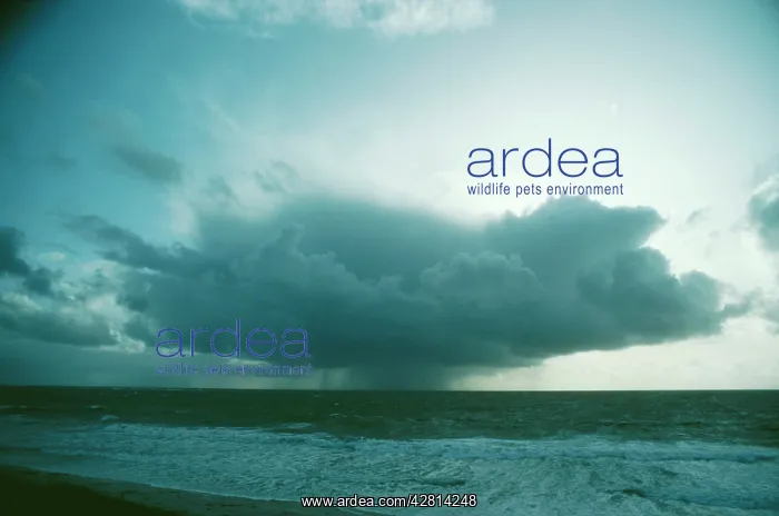 : CLOUDS - Storm / rain cloud over Atlantic : CLOUDS - Storm / rain cloud over Atlantic