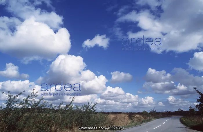 : CLOUDS OVER SUFFOLK FIELDS : CLOUDS OVER SUFFOLK FIELDS