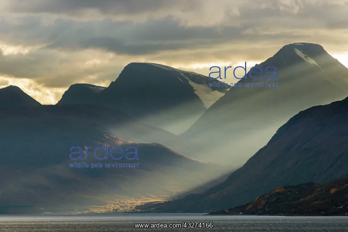 : Clouds and sunbeams above fjord, Lyngen Fjord, Skibotn : Clouds and sunbeams above fjord, Lyngen Fjord, Skibotn
