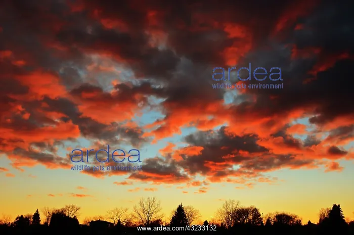 : Clouds at sunset : Clouds at sunset