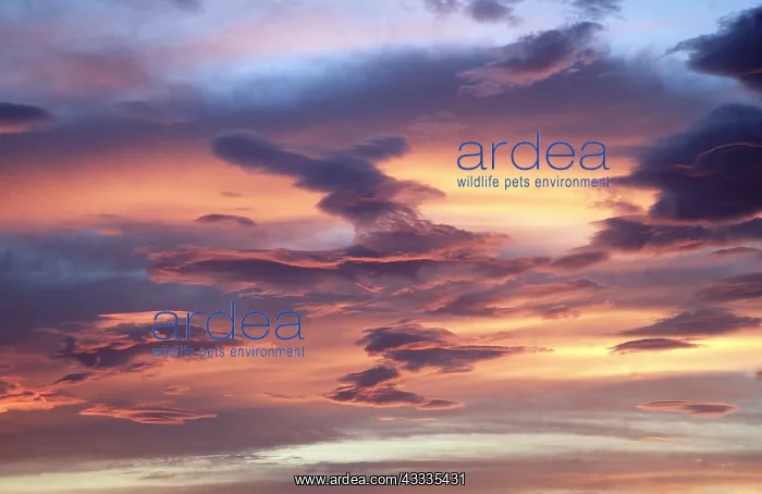 : CLOUDS - AT SUNSET : CLOUDS - AT SUNSET