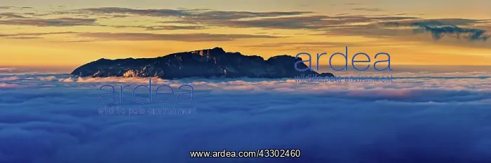 : From the clouds towering mountain massif Hochthron : From the clouds towering mountain massif Hochthron