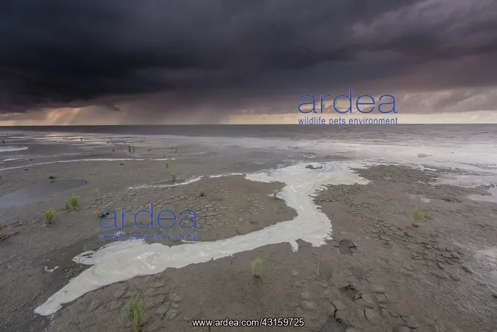 : Clouds above the Waddensea at low tide during sunset : Clouds above the Waddensea at low tide during sunset
