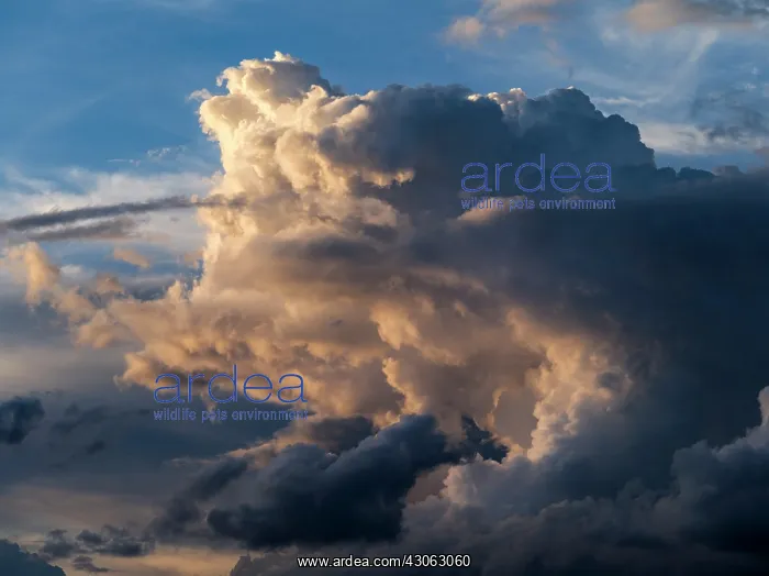 : Cloudscape over the Lewa Wildlife Reserve : Cloudscape over the Lewa Wildlife Reserve