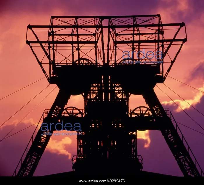 : Coal, conveyor tower, in the sundown, dusk, industrial : Coal, conveyor tower, in the sundown, dusk, industrial