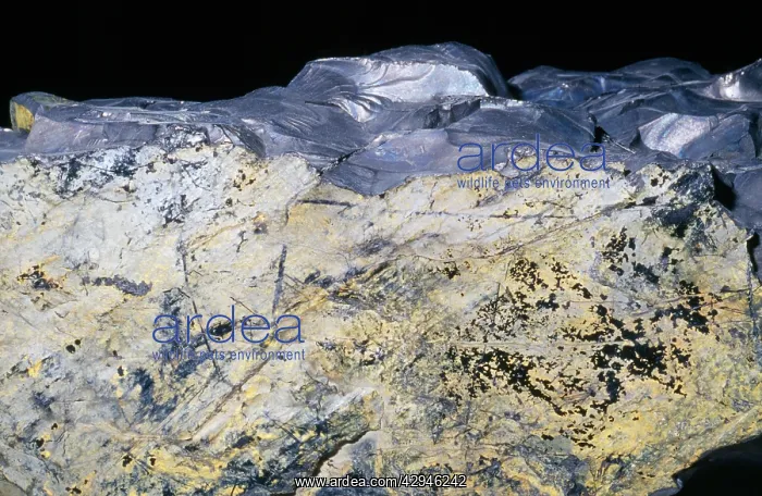  : COAL - (Hard) var. Anthracite. Carbonized vegetable matter