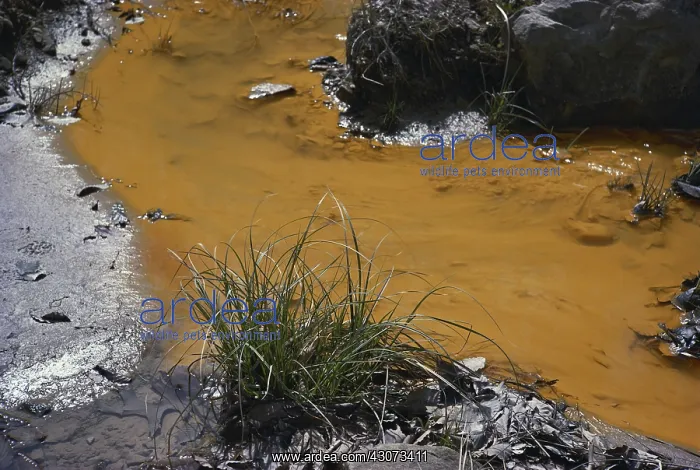 : Coal Mining Runoff, Virginia : Coal Mining Runoff, Virginia