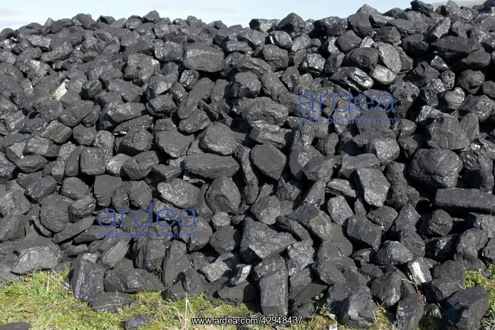 : Coal - pile at Steam Engine Rally Cheltenham Racecourse : Coal - pile at Steam Engine Rally Cheltenham Racecourse