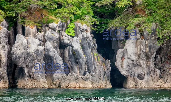 : Detail of the coast of Alaska. Alaska. USA : Detail of the coast of Alaska. Alaska. USA