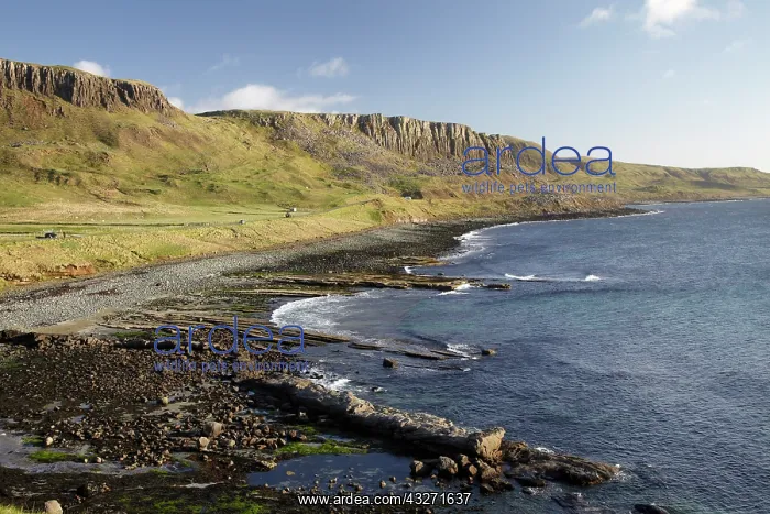 : Coast at Duntulm, Isle of Skye, Scotland : Coast at Duntulm, Isle of Skye, Scotland