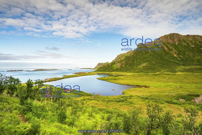  : Coast with mountains and lake, near Nyksund, Dronningruta