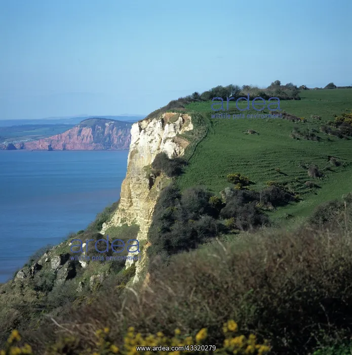 : Coastal cliffs : Coastal cliffs