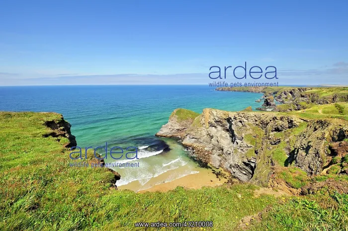 : Coastal landscape with bay in Newquay on the north : Coastal landscape with bay in Newquay on the north