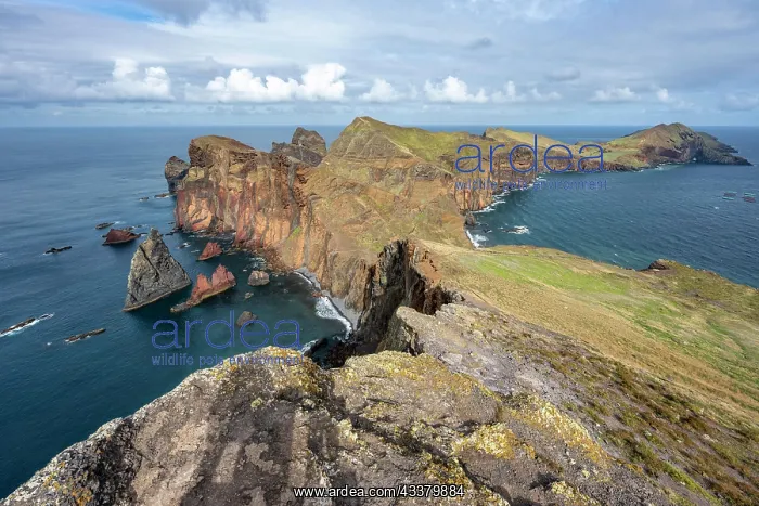 : Coastal landscape, cliffs and sea, Miradouro da : Coastal landscape, cliffs and sea, Miradouro da