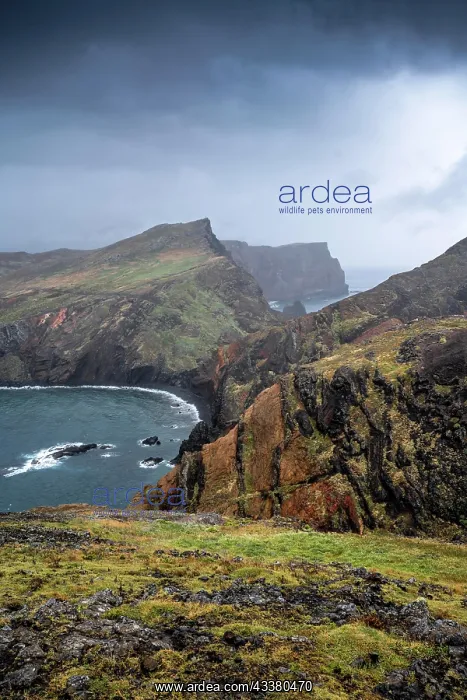  : Coastal landscape, cliffs and sea, rugged coast