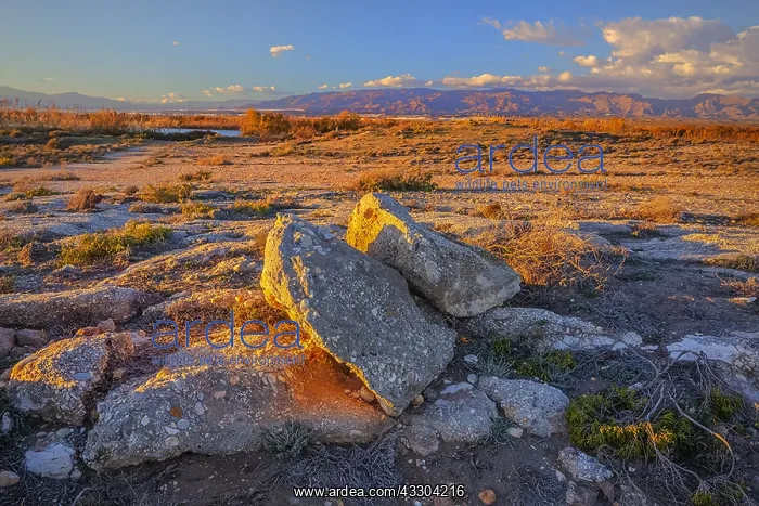 : Coastal landscape - coastal scenery along the Gulf : Coastal landscape - coastal scenery along the Gulf