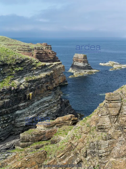 : Coastal landscape on Orkney Mainland, Deerness : Coastal landscape on Orkney Mainland, Deerness
