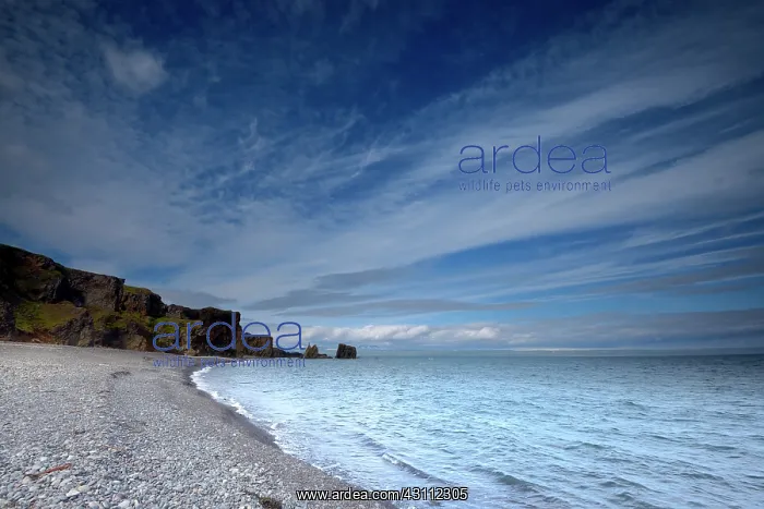 : Coastal landscape showing the sea : Coastal landscape showing the sea