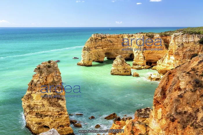 : Coastal landscape the southern coast of the Algarve : Coastal landscape the southern coast of the Algarve
