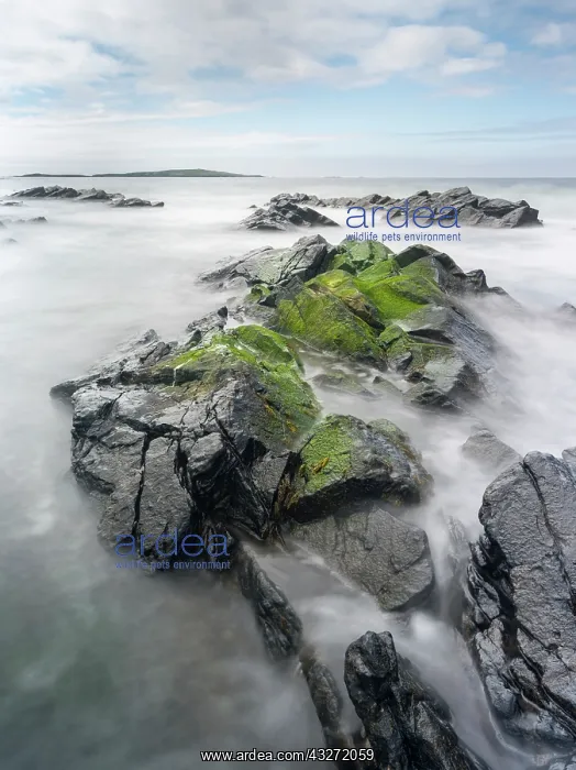 : Coastal landscape at the West Voe of Sumburgh : Coastal landscape at the West Voe of Sumburgh